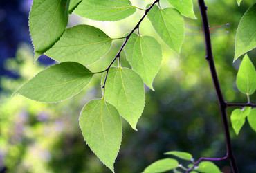 Similar image 236633