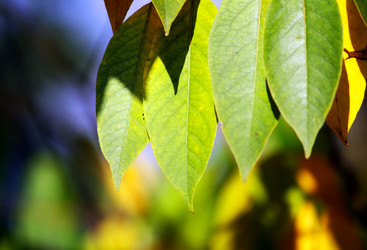 Similar image 236634