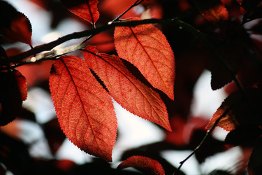 Similar image 236635