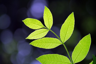 Similar image 236636