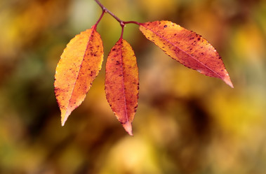 Similar image 236637