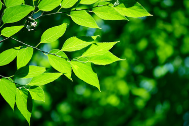 Similar image 236639