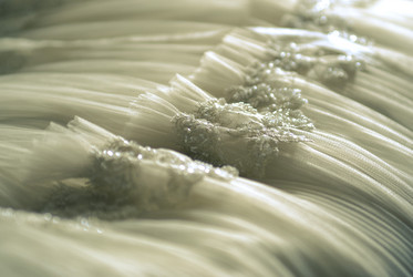 Similar image 236641