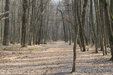 Similar image 236647