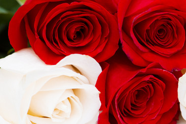 Similar image 236648