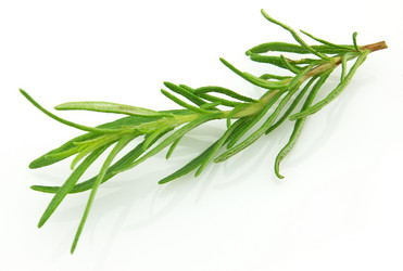 Similar image 236649