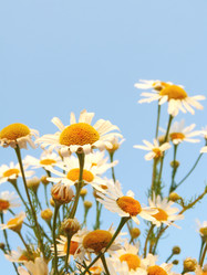 Similar image 236688