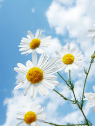 Similar image 236689