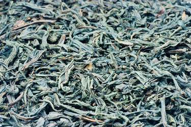 Similar image 236735