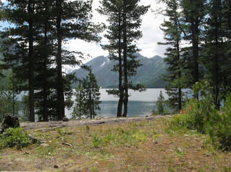 Similar image 236743