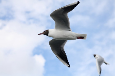 Similar image 236745