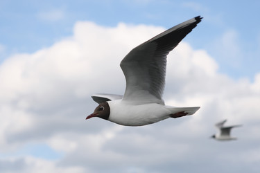 Similar image 236752