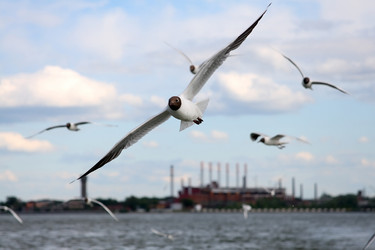 Similar image 236759