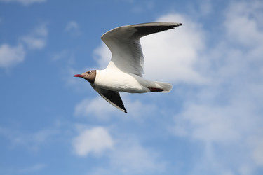 Similar image 236769