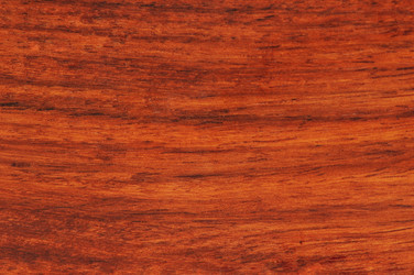 Similar image 236779