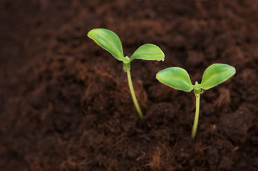 Similar image 236788