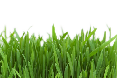 Similar image 236810