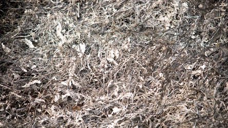 Similar image 236831