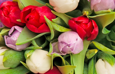 Similar image 236837