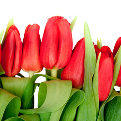 Similar image 236839