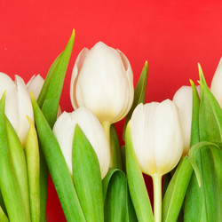 Similar image 236840