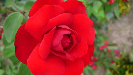 Similar image 236841