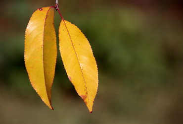 Similar image 236912