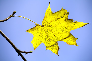 Similar image 236919