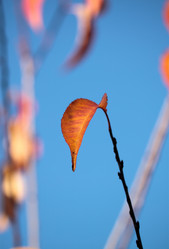 Similar image 236927