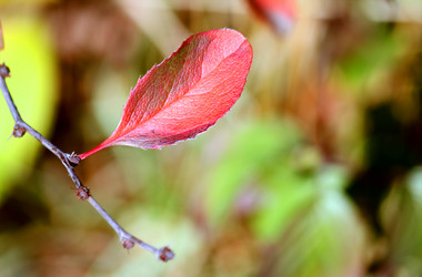 Similar image 236932