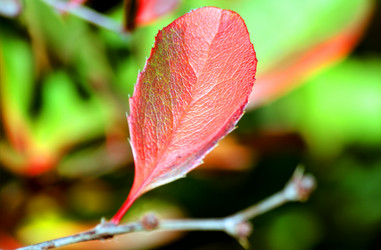 Similar image 236933