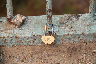 Similar image 236960