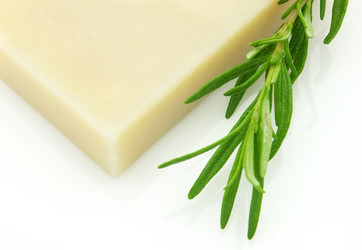 Similar image 237001