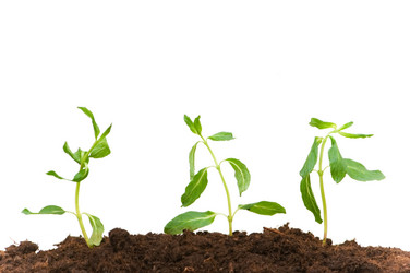 Similar image 237016