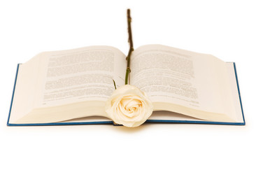 Similar image 237022