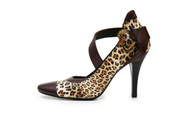 Similar image 237029