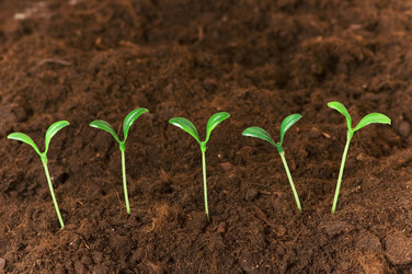 Similar image 237033