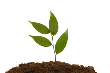 Similar image 237037