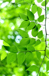 Similar image 237051