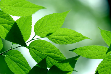 Similar image 237052