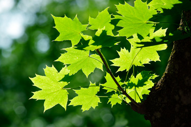 Similar image 237053