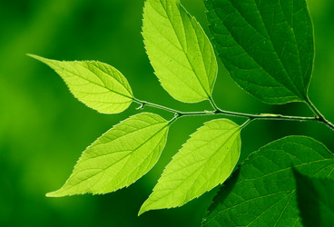 Similar image 237054