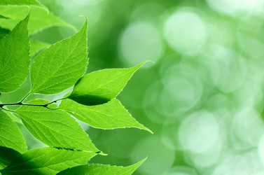 Similar image 237055