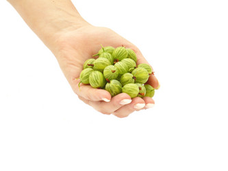 Similar image 237067