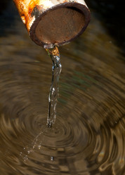 Similar image 237074