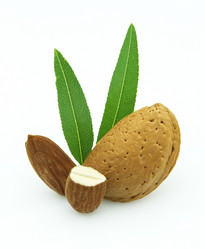 Similar image 237148