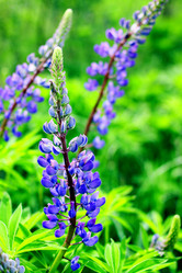 Similar image 237150