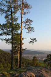 Similar image 237159