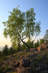 Similar image 237160