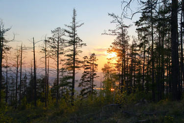 Similar image 237166